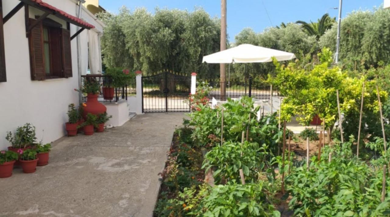Katerina'S Cozy Home Skala Sotiros Luaran gambar